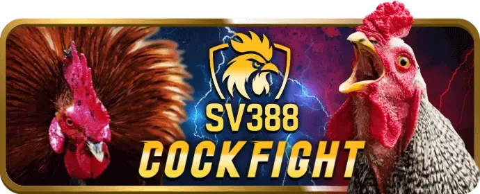 Tổng quan về nền tảng cá cược SBOBET